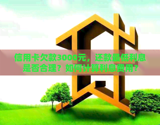 信用卡欠款3000元，还款更低利息是否合理？如何计算利息费用？