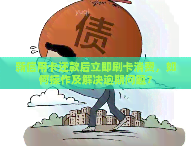 新信用卡还款后立即刷卡消费，如何操作及解决逾期问题？