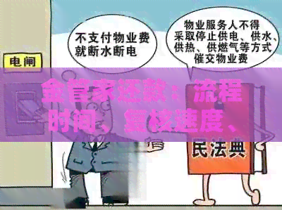 金管家还款：流程时间、复核速度、合法性及软件体验全解析