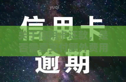 关于信用卡还款，是否需要支付额外费用？解答各种可能相关问题