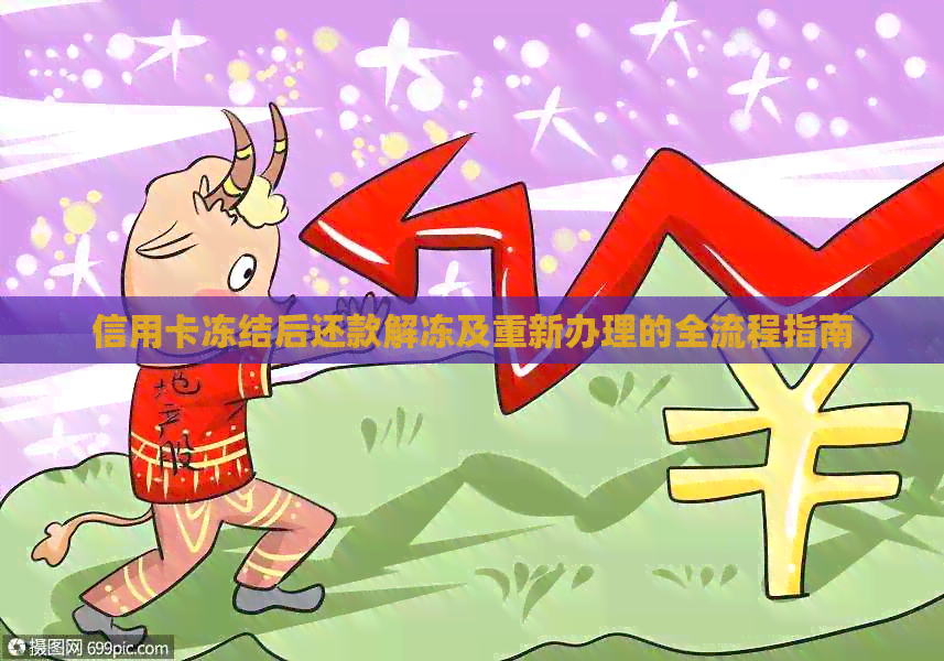 信用卡冻结后还款解冻及重新办理的全流程指南