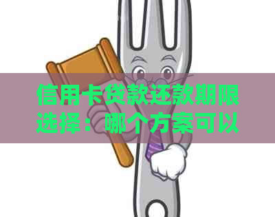 信用卡贷款还款期限选择：哪个方案可以实现5年偿还？详细解答与比较