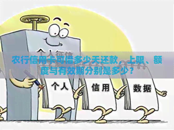 农行信用卡可借多少天还款，上限、额度与有效期分别是多少？