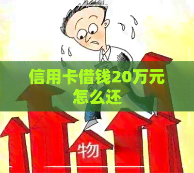 信用卡借钱20万元怎么还