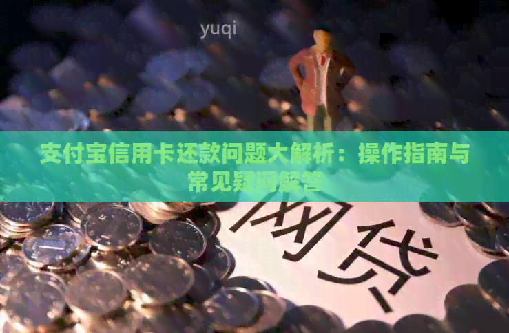 支付宝信用卡还款问题大解析：操作指南与常见疑问解答
