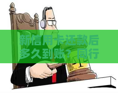 新信用卡还款后多久到账？同行转账时间解析