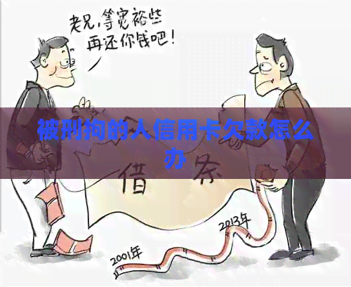 被刑拘的人信用卡欠款怎么办