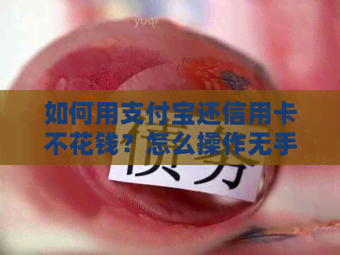 如何用支付宝还信用卡不花钱？怎么操作无手续费还信用卡？