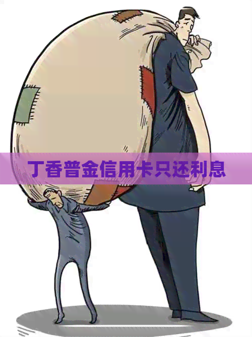 丁香普金信用卡只还利息