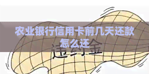 农业银行信用卡前几天还款怎么还