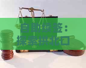 自助续签：探索拱北口岸的全新出入境体验