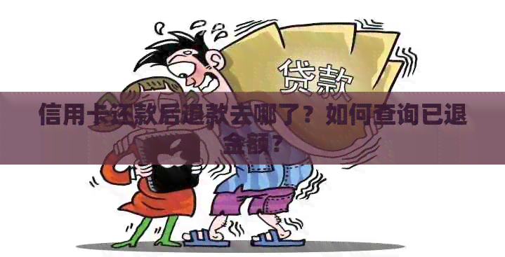 信用卡还款后退款去哪了？如何查询已退金额？