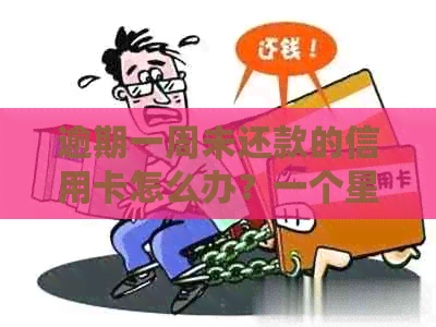 逾期一周未还款的信用卡怎么办？一个星期的忘记处理后果如何应对？
