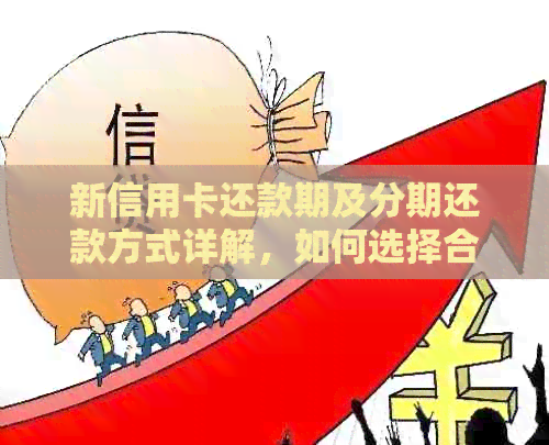 新信用卡还款期及分期还款方式详解，如何选择合适的还款计划？