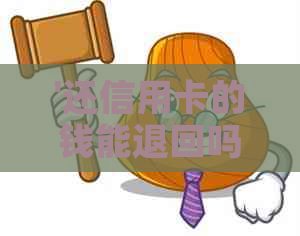 '还信用卡的钱能退回吗-操作，查询与撤销全解'