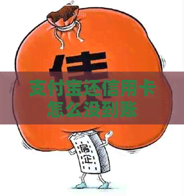 支付宝还信用卡怎么没到账 支付宝还信用卡怎么没到账