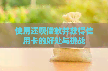 使用还款借款并获得信用卡的好处与挑战