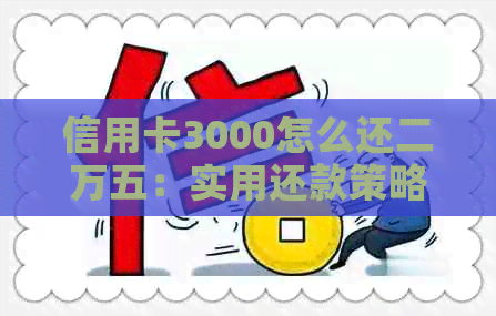 信用卡3000怎么还二万五：实用还款策略