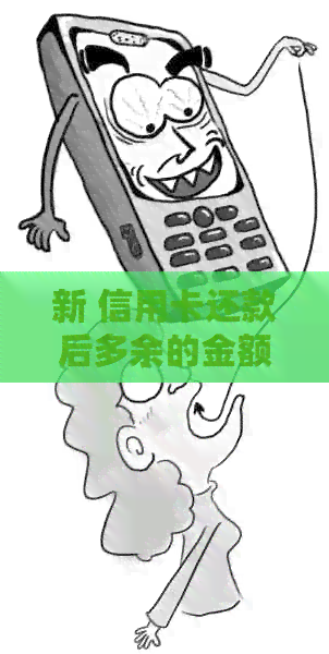 新 信用卡还款后多余的金额如何退回？如何查询这笔退款？