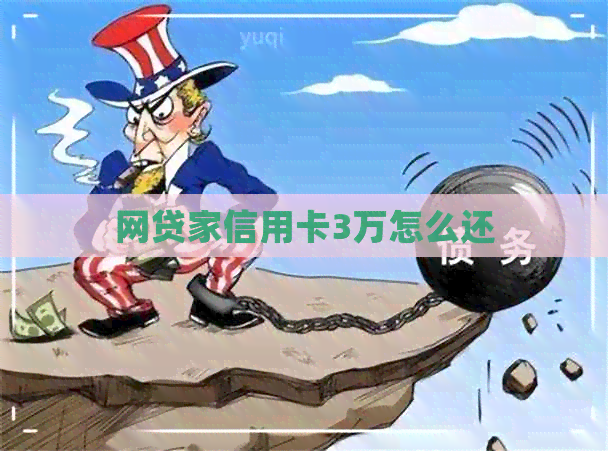 网贷家信用卡3万怎么还