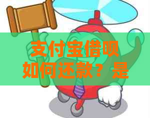 支付宝网贷如何还款？是否可以用于还信用卡？还款时需要注意什么？