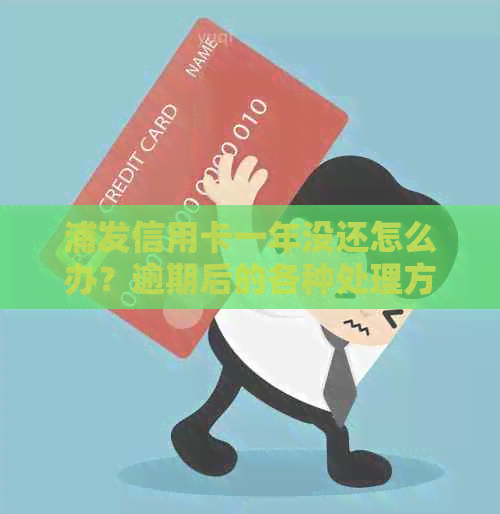 浦发信用卡一年没还怎么办？逾期后的各种处理方式解析