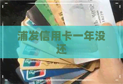 浦发信用卡一年没还 浦发信用卡一年没还