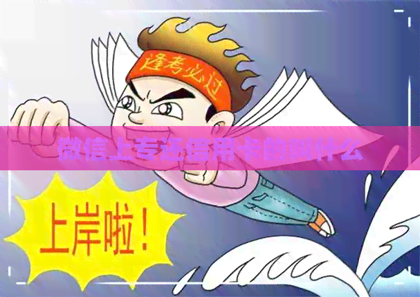 微信上专还信用卡的叫什么