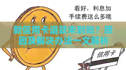 新信用卡退款未到账？原因及解决办法一文解析