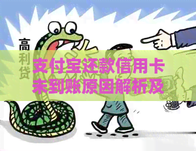 支付宝还款信用卡未到账原因解析及解决办法