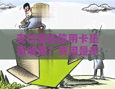 支付宝还信用卡是否收费？费用是多少？具体收费标准又是如何的？