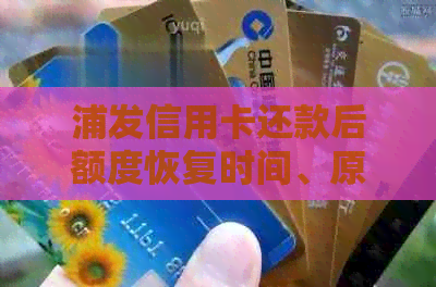 浦发信用卡还款后额度恢复时间、原因及解决办法，告别额度消失疑虑！