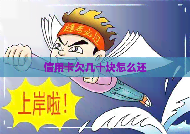 信用卡欠几十块怎么还