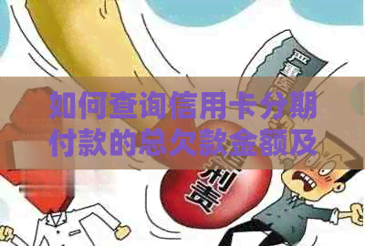如何查询信用卡分期付款的总欠款金额及还款计划？