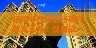 信用卡使用后逾期还款怎么办？仅用过一次的卡如何解决忘记还款问题？