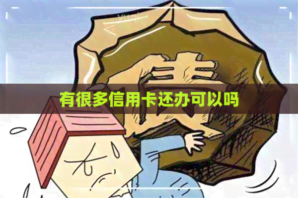 有很多信用卡还办可以吗