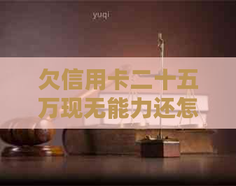 欠信用卡二十五万现无能力还怎么办