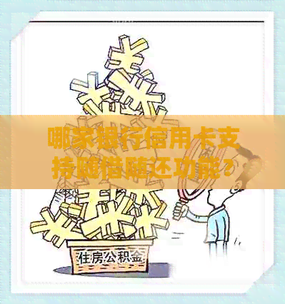 哪家银行信用卡支持随借随还功能？