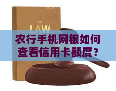 农行手机网银如何查看信用卡额度？