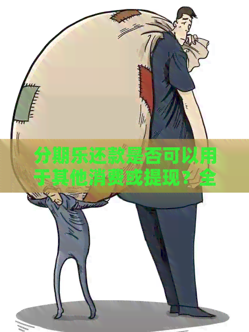 还款是否可以用于其他消费或提现？全面解答用户疑问