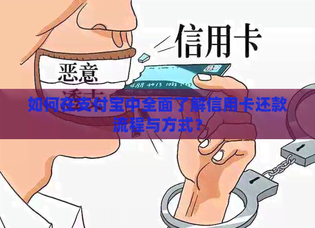 如何在支付宝中全面了解信用卡还款流程与方式？
