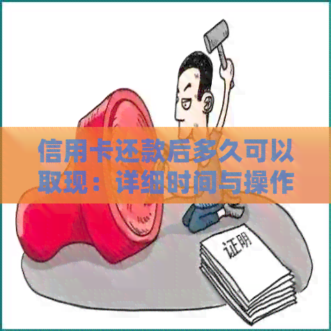 信用卡还款后多久可以取现：详细时间与操作指南