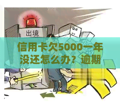 信用卡欠5000一年没还怎么办？逾期一年不还怎么处理？