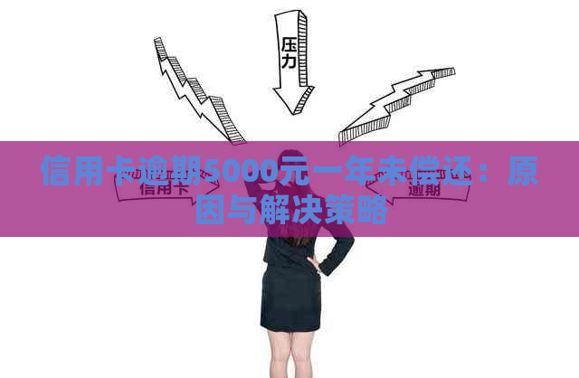 信用卡逾期5000元一年未偿还：原因与解决策略