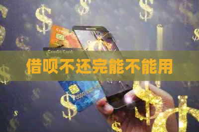 网贷不还完能不能用