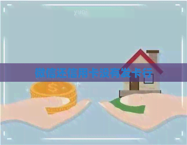 微信还信用卡没有发卡行