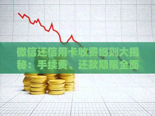 微信还信用卡收费细则大揭秘：手续费、还款期限全面解析