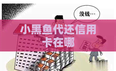 小黑鱼代还信用卡在哪