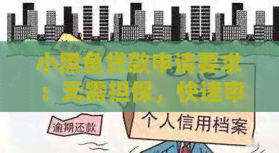 小黑鱼贷款申请要求：无需担保，快速审批，适合各种借款需求
