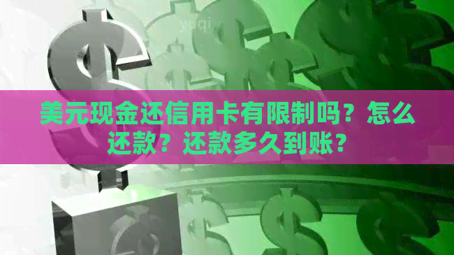 美元现金还信用卡有限制吗？怎么还款？还款多久到账？